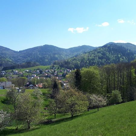 Ferienwohnung Schwarzwaldblick Bühlertal Eksteriør bilde