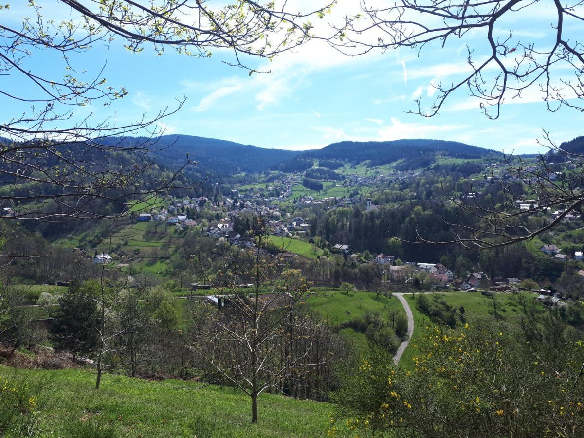 Ferienwohnung Schwarzwaldblick Bühlertal Eksteriør bilde